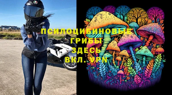 эйфоретик Абинск